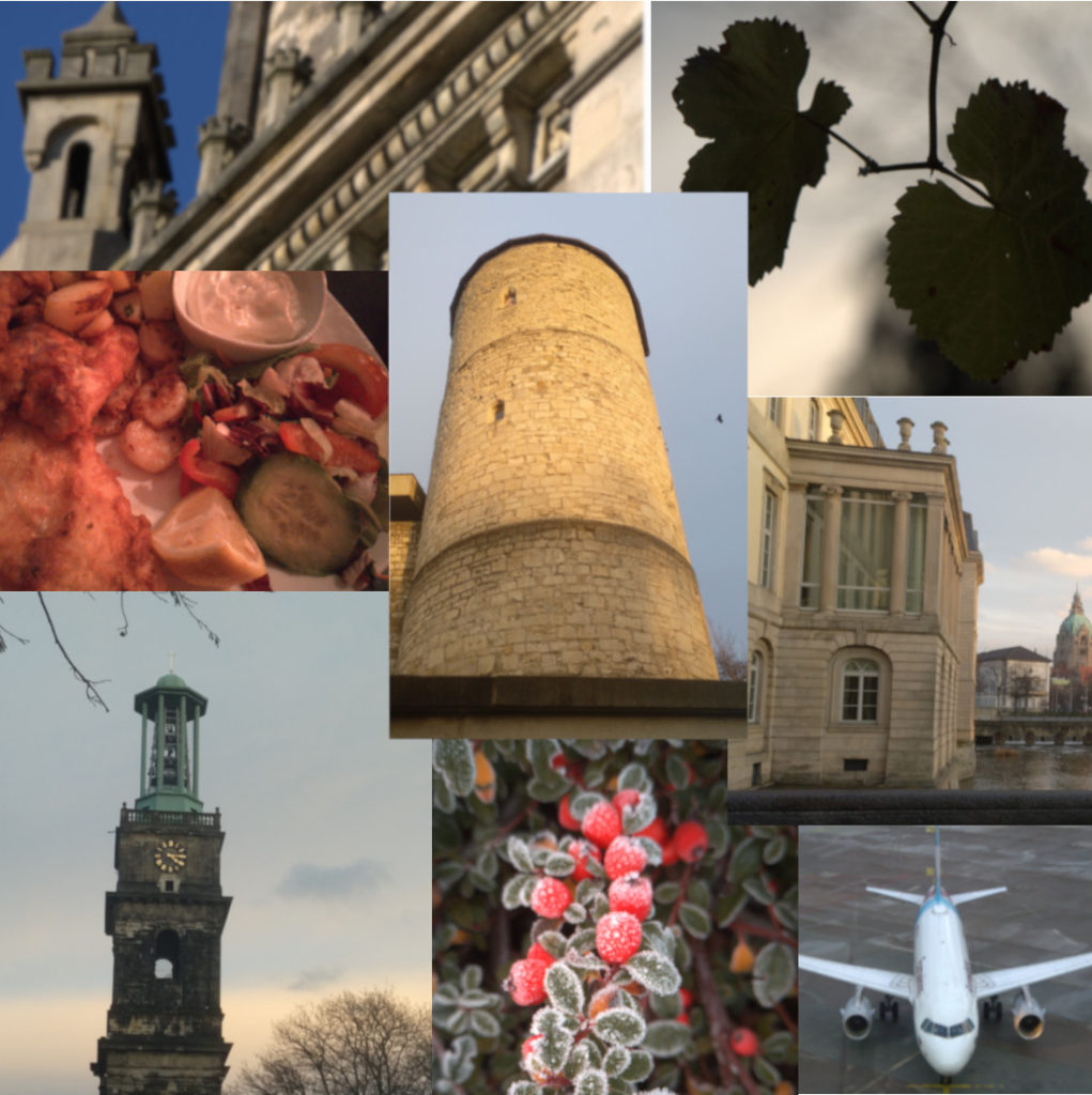 collage Hanover photos
