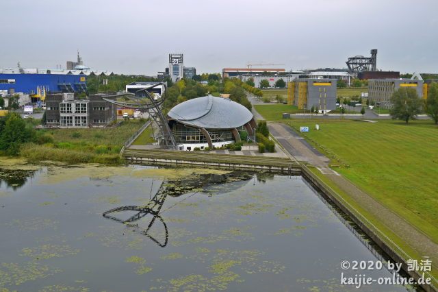 Expo Whale